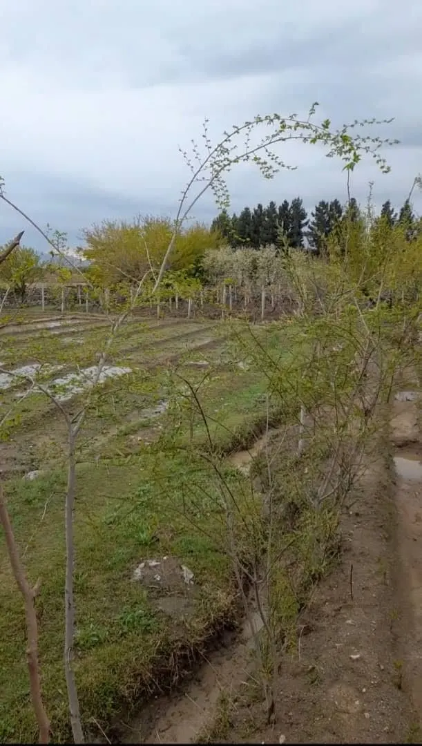 Commercial land 2 jerib in Kabul Jabal Saraj (6)