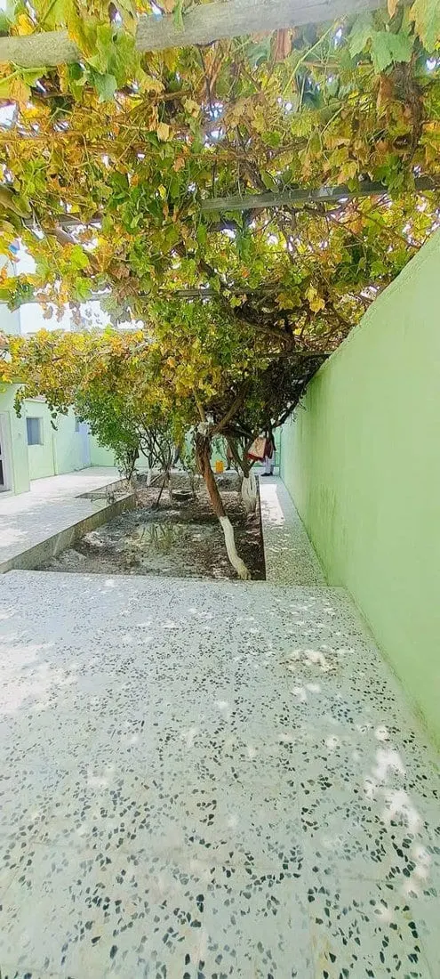 House for sale, two floors, five rooms, 250 sqm, Kabul Sanatorium (4)