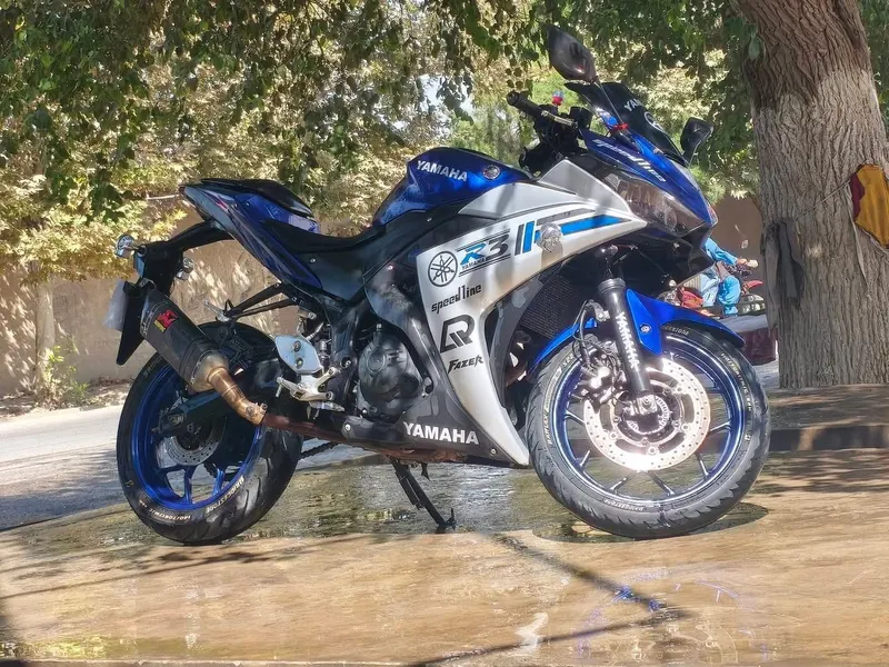 Yamaha YZF-R3 2018 (3)