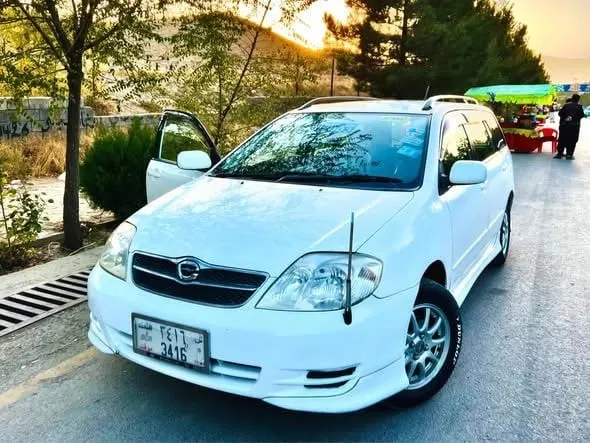Toyota Fielder 2003 White Full Option, Automatic, 4-Cylinder Petrol (1)