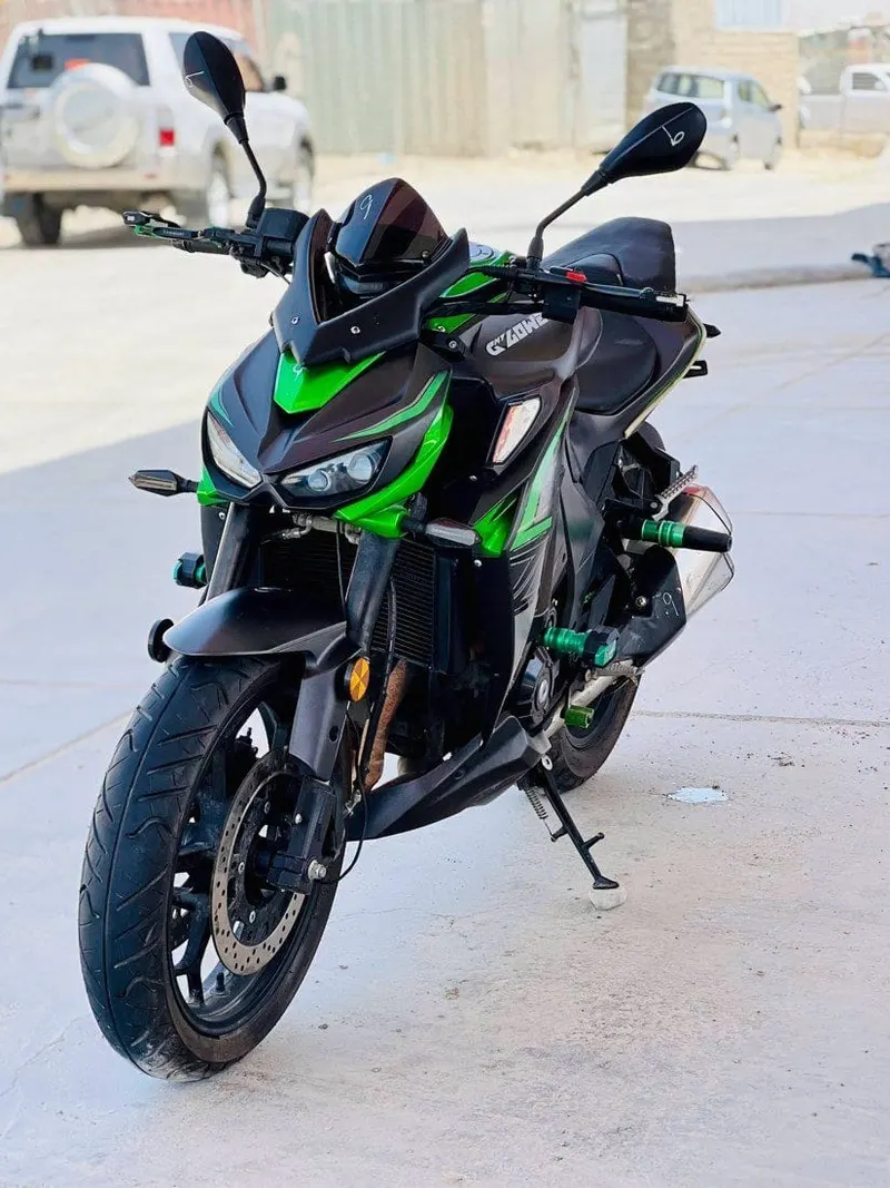 Kawasaki Z300 Naked Motorcycle 2022 (3)