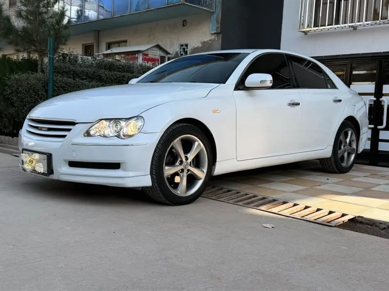 Toyota Mark X 2007 white (2)