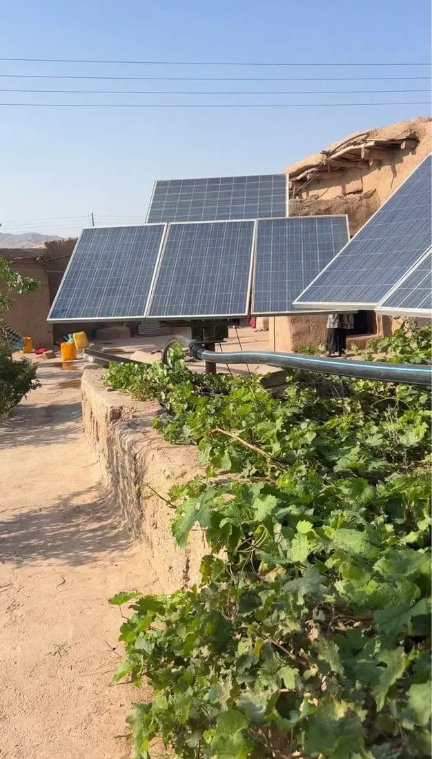 Fruit Garden for Sale, 2.5 Jerib, Herat, Solar Pump, Title Deed (2)