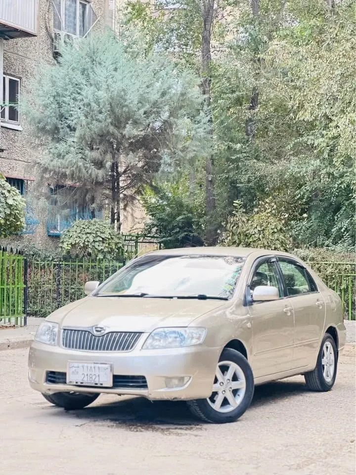 Toyota Luxel 2005 X, Silver (2)