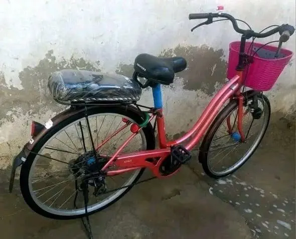 Japanese 6-Speed Bicycle with Front Basket and Rear Carrier (2)
