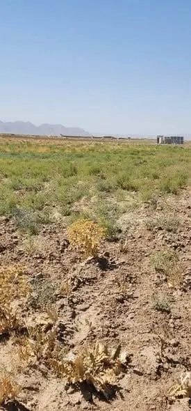 Land for sale, 13 jerib in Herat, Karimabad village, on 20m road (3)