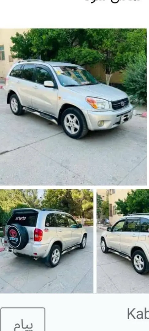Toyota RAV4 2001 Automatic, Silver, Gas (3)