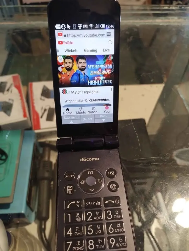docomo SH-02K 2017 Japanese Mobile Phone (4)