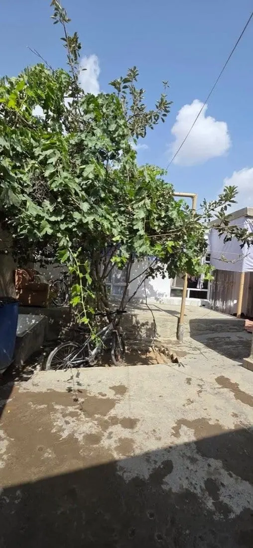 Walled house for sale, 2 rooms, 170 m², District 7 Kabul (3)