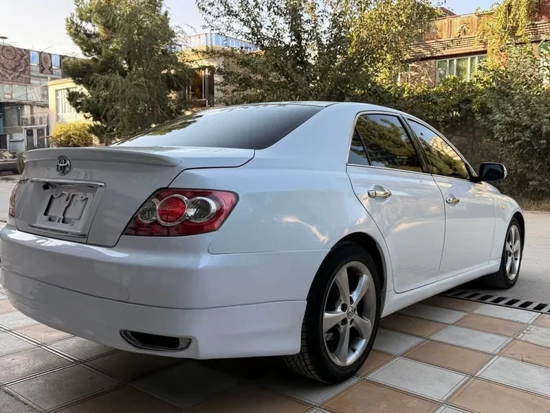 Toyota Mark X 2007 white (5)