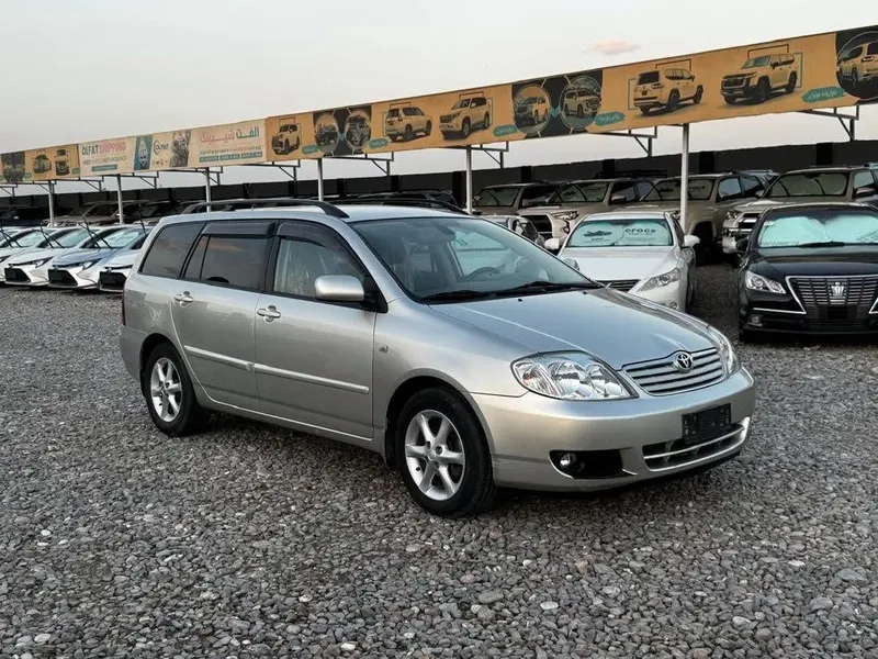 Toyota Fielder 2005, 4-cylinder petrol, automatic (2)