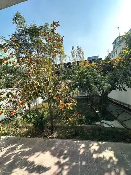 Independent house for rent in Karte 4, 6 bedrooms, 400 m2 yard (2)