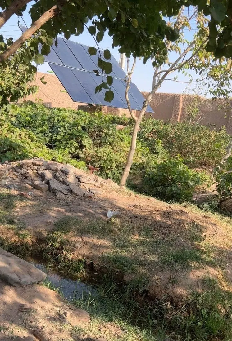 Fruit Garden for Sale, 2.5 Jerib, Herat, Solar Pump, Title Deed (5)