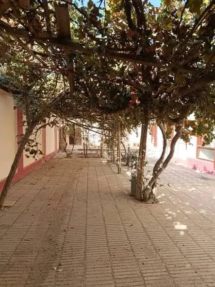 Courtyard house for sale, 280 m², 2 rooms, 2 basements, Mazar-e Sharif (5)