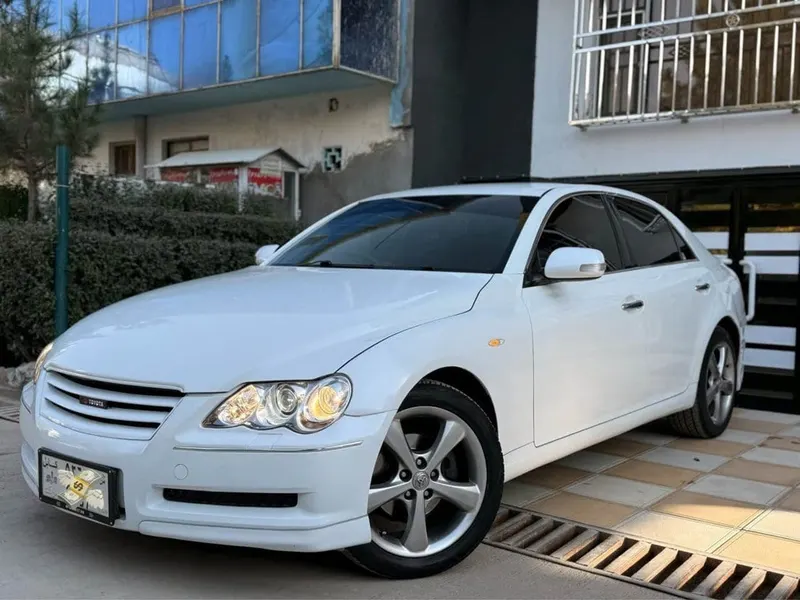 Toyota Mark X 2007 white (3)
