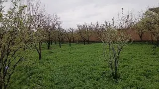 Garden for sale