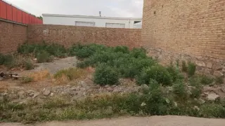 Land for sale