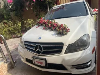 Benz 2014