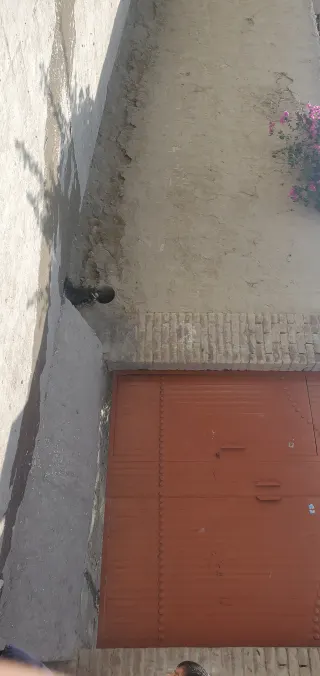 House for sell