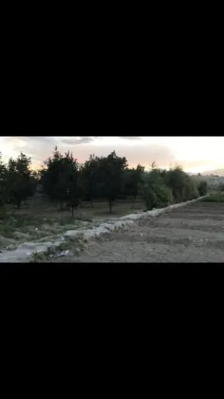 Garden for sale