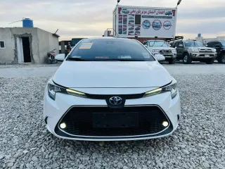 Corolla 2020