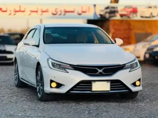 2012 Premium Mark X for Sale