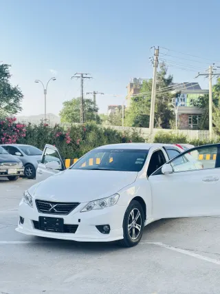 Toyota Mark X 2010