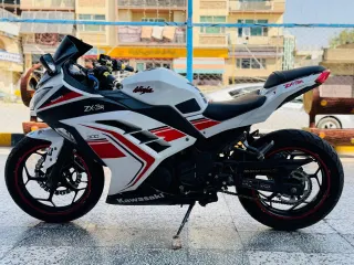 Kawasaki Ninja 300 2019