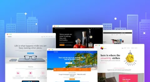 Website development