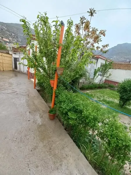 House for sale, 3 rooms, 300 m², behind Badam Bagh, District 17