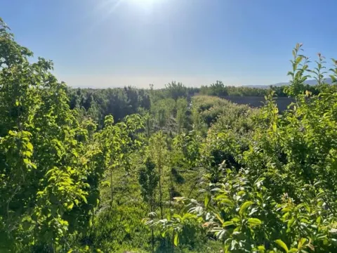 Garden for sale