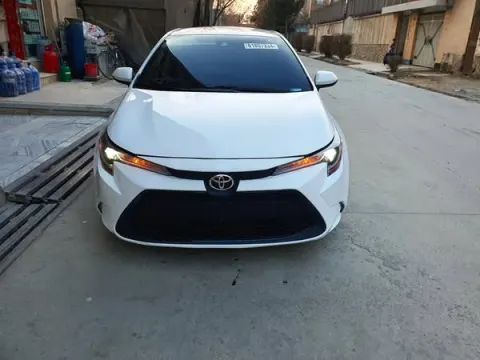 Corolla 2020