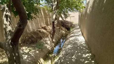 Garden for sale