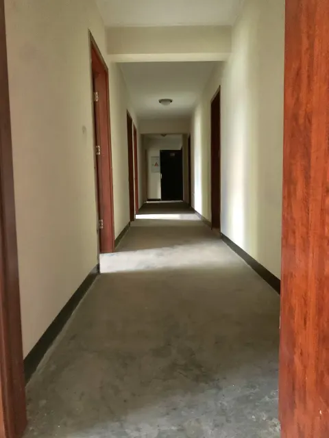 5 Room VIP Apartment For Sale