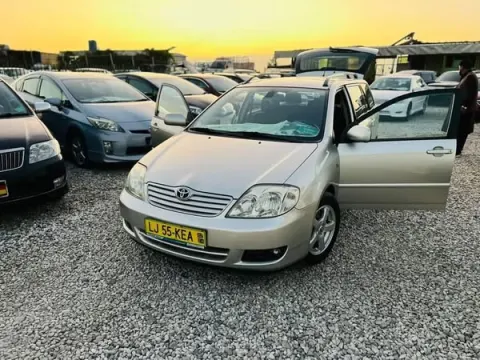 2005 Fielder (German Diesel)