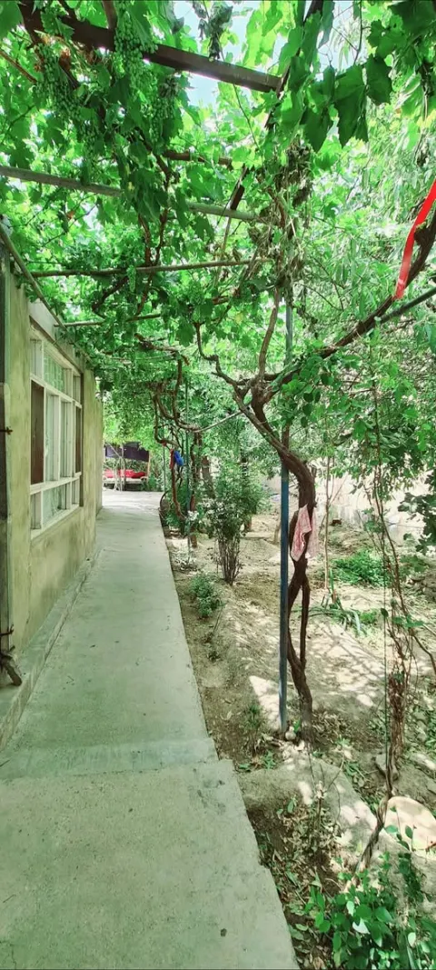 House for sale, 5 rooms, 5 biswa, Qala-e Fatullah, District 10, Kabul