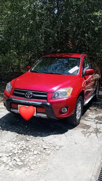 2006 Toyota RAV4 (Family)