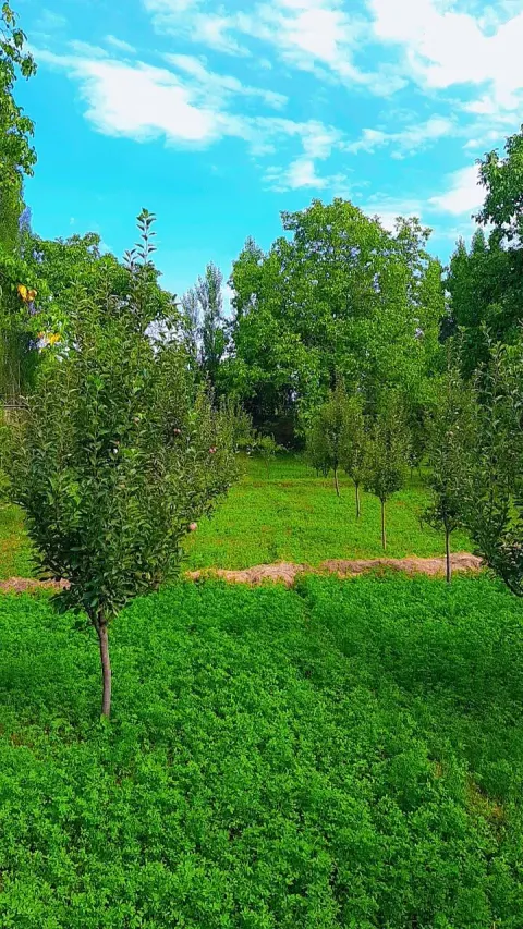Garden for sale