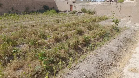 Land for sale