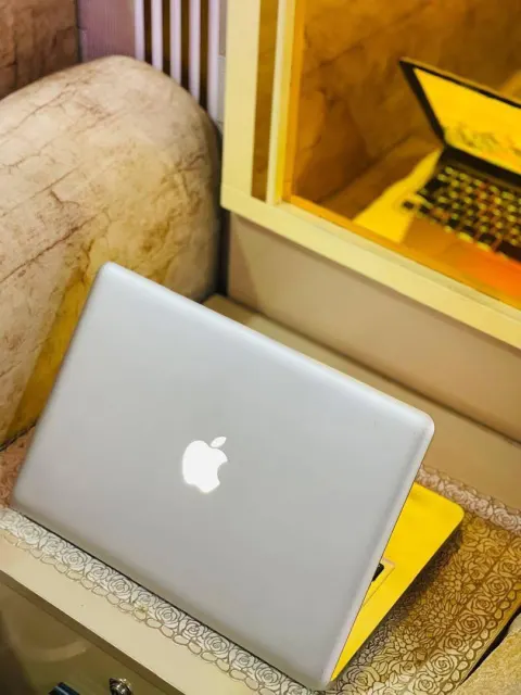 MacBook Pro Model:2010