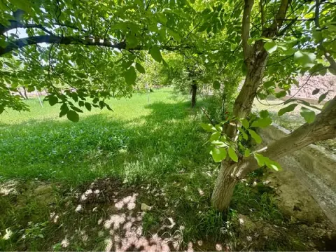 Garden for sale