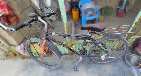 Bicycle for sale