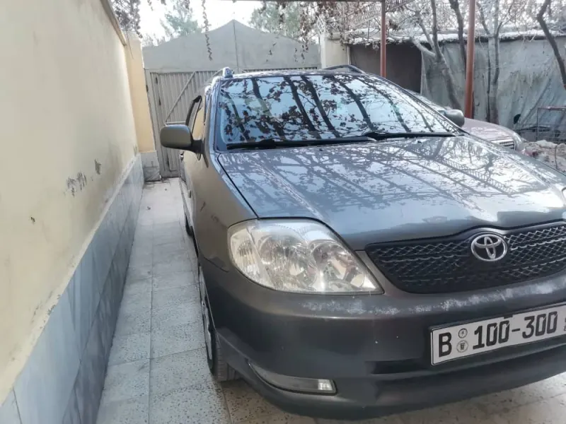 Toyota Fielder 2004