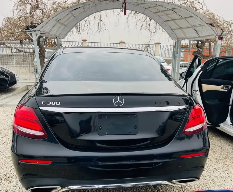 Mercedes-Benz 2017