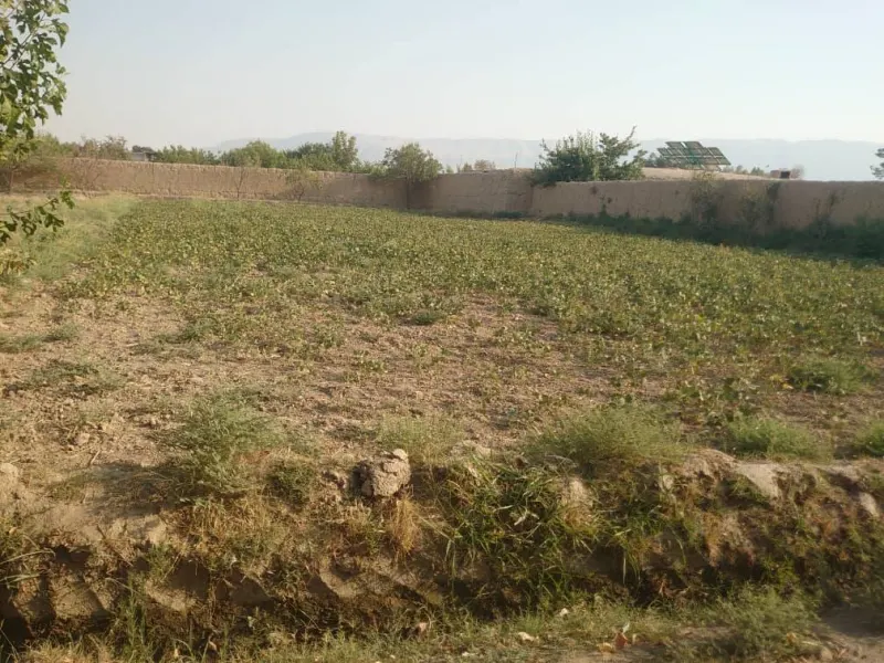 Land for sale, 1400 m², Khasa Paz village, Mazar-i-Sharif