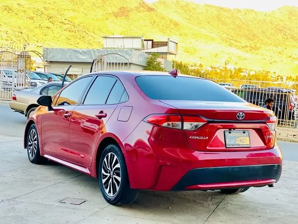 Toyota Corolla LE 2020