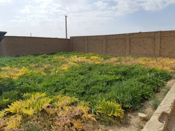 Plot for sale, 450 m², Omar Farooq Township