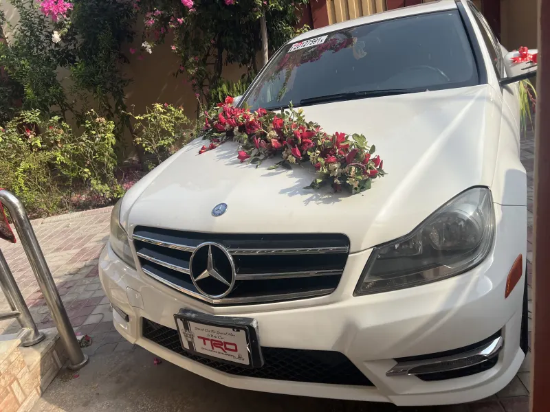 Benz 2014