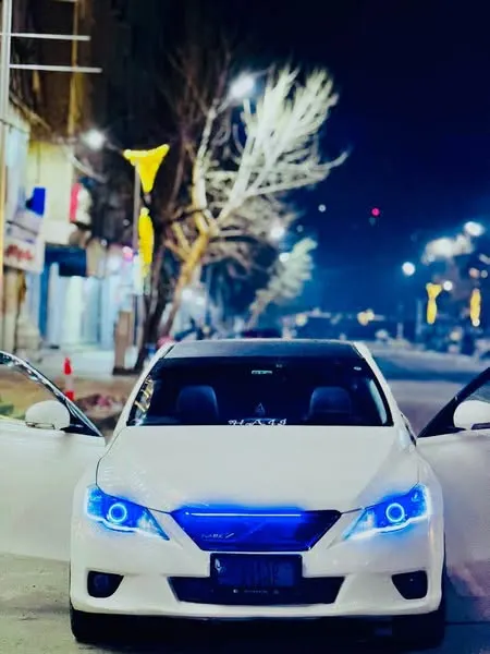 Toyota Mark X 2009