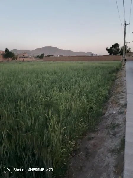 Land for sale, 37 biswa, Nau Burja Road, Chehelsotoon, Kabul